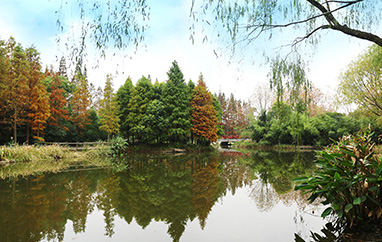 糖心VLGO内容合作介绍