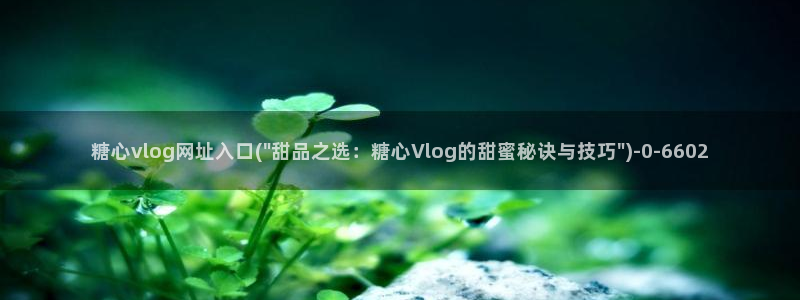 糖心txvlog