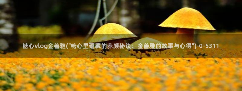 糖心vlog黄色网站：糖心vlog金善雅(\