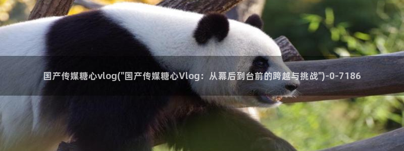 糖心vlog网站入口：国产传媒糖心vlog(\