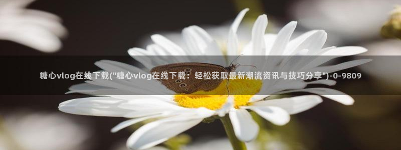 糖心vlog在线版：糖心vlog在线下载(\