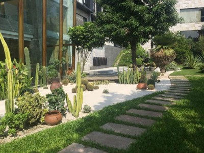 清新日常VLOG文章介绍