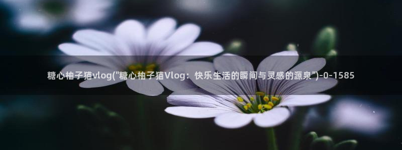 糖心vlogo网站：糖心柚子猫vlog(\