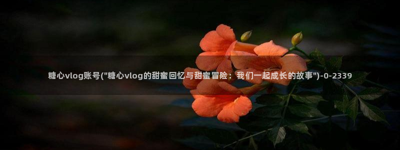 91麻豆糖心vlog出品淑怡