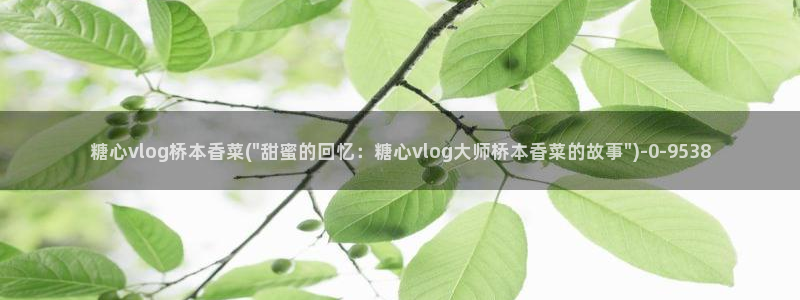 糖心vlog在线观看星辰