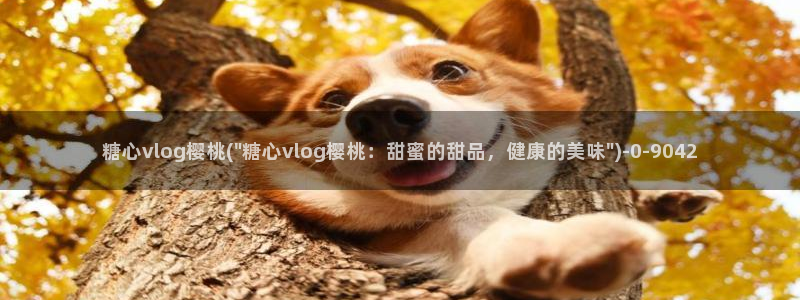糖心vlog不见星空