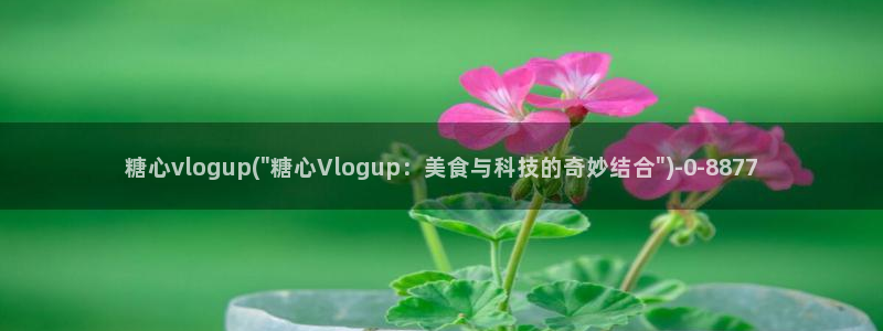 糖心vlog下载入口