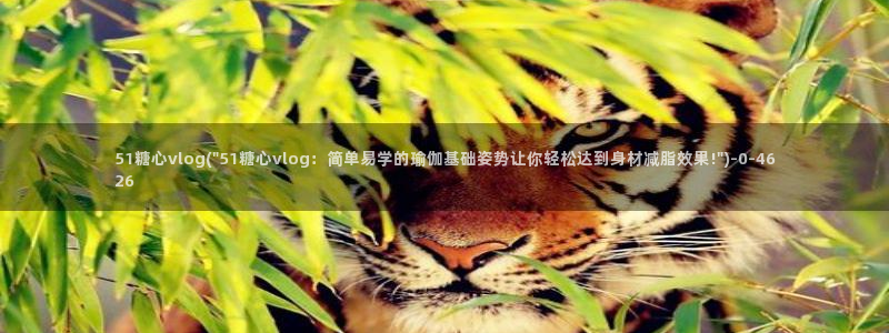 糖心出品vlog传媒