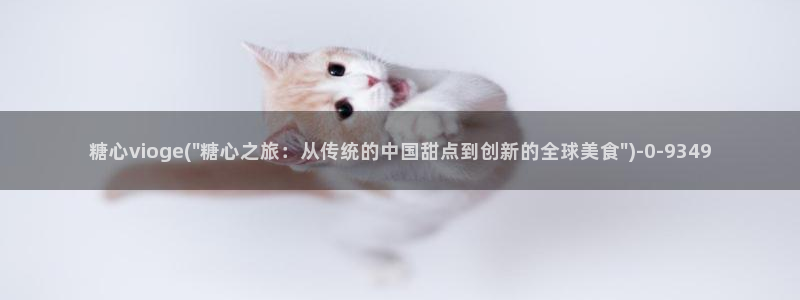 糖心vlog 入口