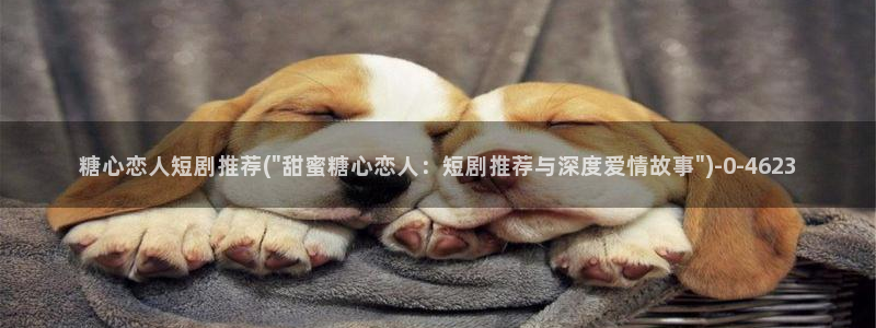 糖心vlog作品