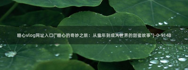www.糖心vlog.com
