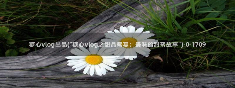 糖心vlog下载软件